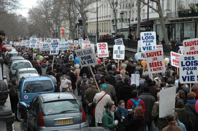 mplv2008_02.jpg
