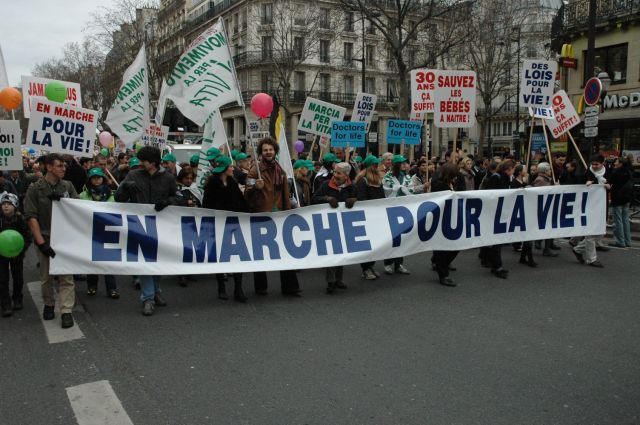 mplv2008_11.jpg