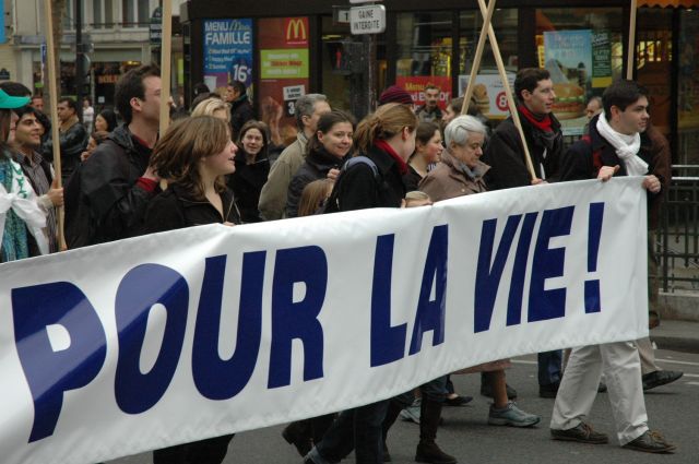 mplv2008_12.jpg