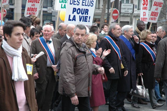 mplv2008_13.jpg