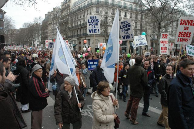 mplv2008_15.jpg