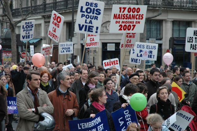 mplv2008_18.jpg