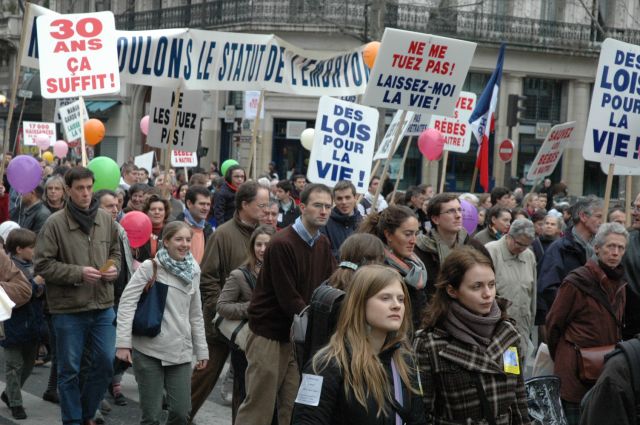 mplv2008_22.jpg