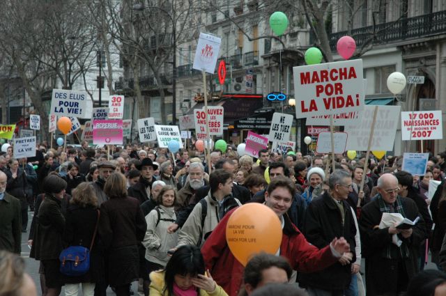 mplv2008_23.jpg