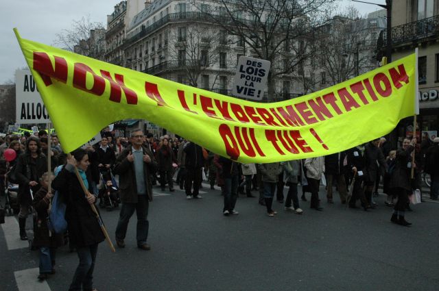 mplv2008_29.jpg