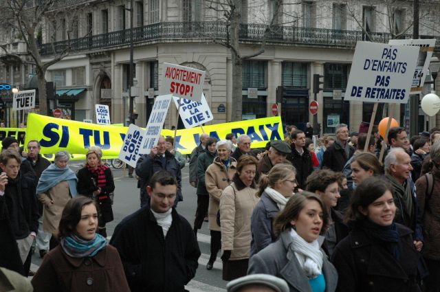 mplv2008_31.jpg