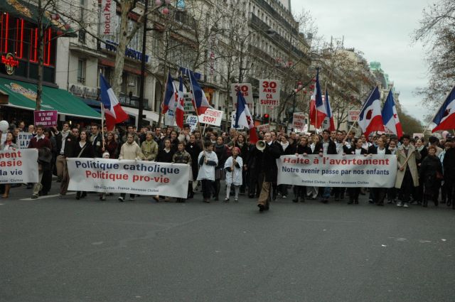 mplv2008_40.jpg