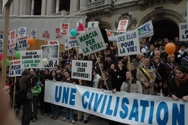mplv2008_50.jpg