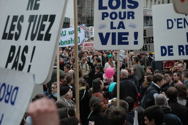 mplv2008_60.jpg