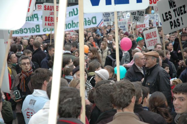 mplv2008_61.jpg