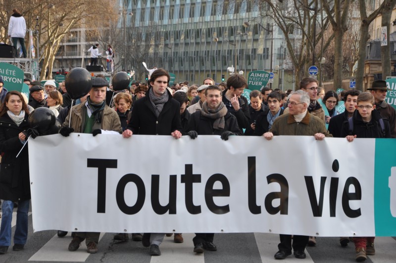 mplv2015_035.jpg